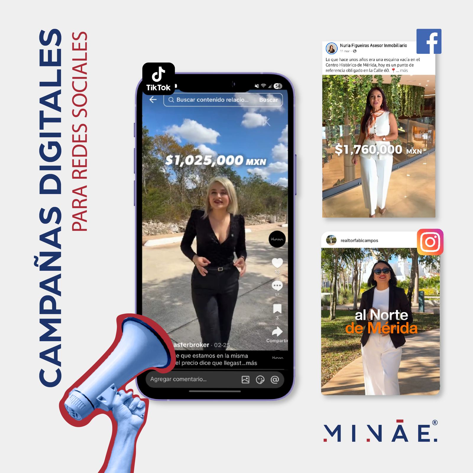 Campañas digitales de Minae MX en TikTok, Facebook e Instagram